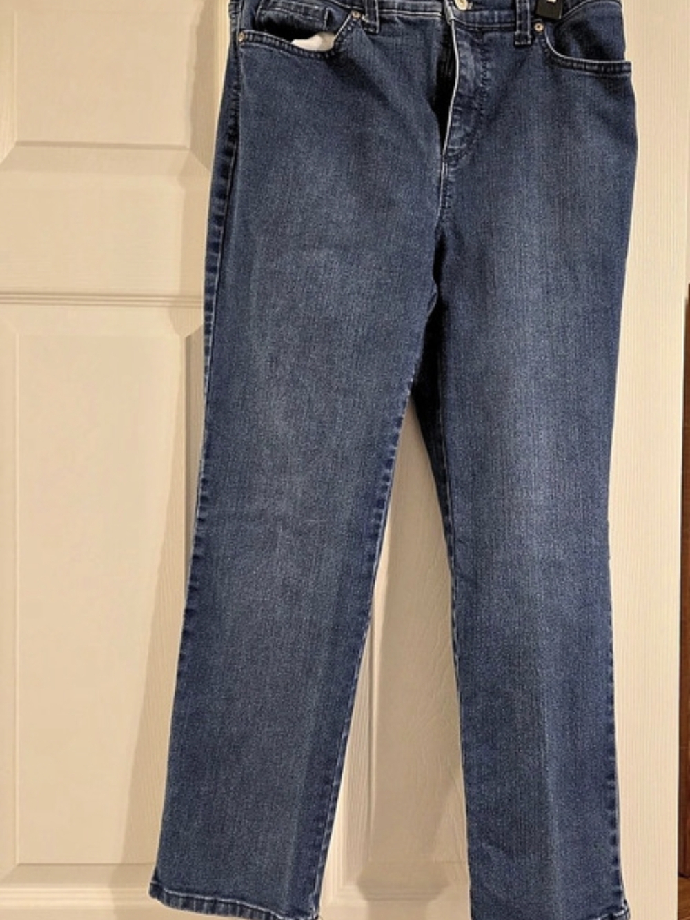 Gloria Vanderbilt Jeans in Blue Waist 10P